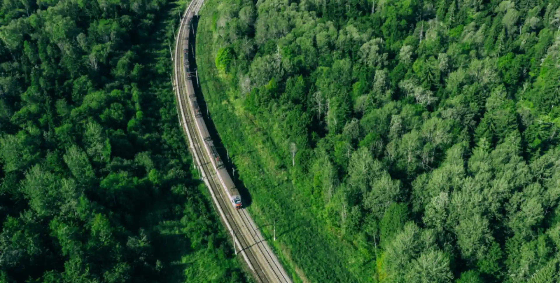 Vue a&eacute;rienne d'un train circulant sur une voie ferr&eacute;e &agrave; travers une for&ecirc;t verdoyante